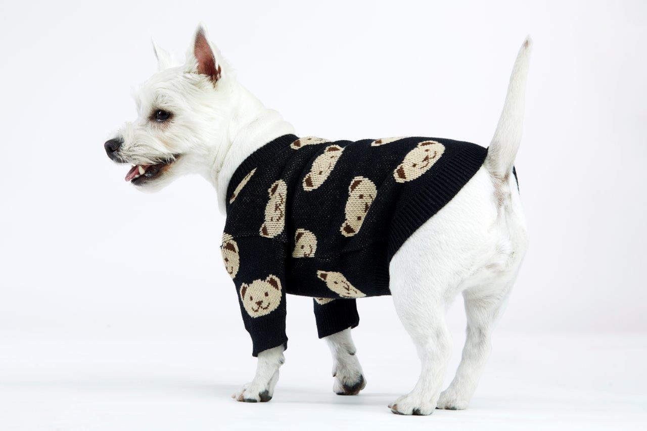 Black Teddy Dog Sweater