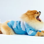 Woofchild sweter dla psa chmurki