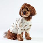 Woofchild-sweter dla pieska w misie