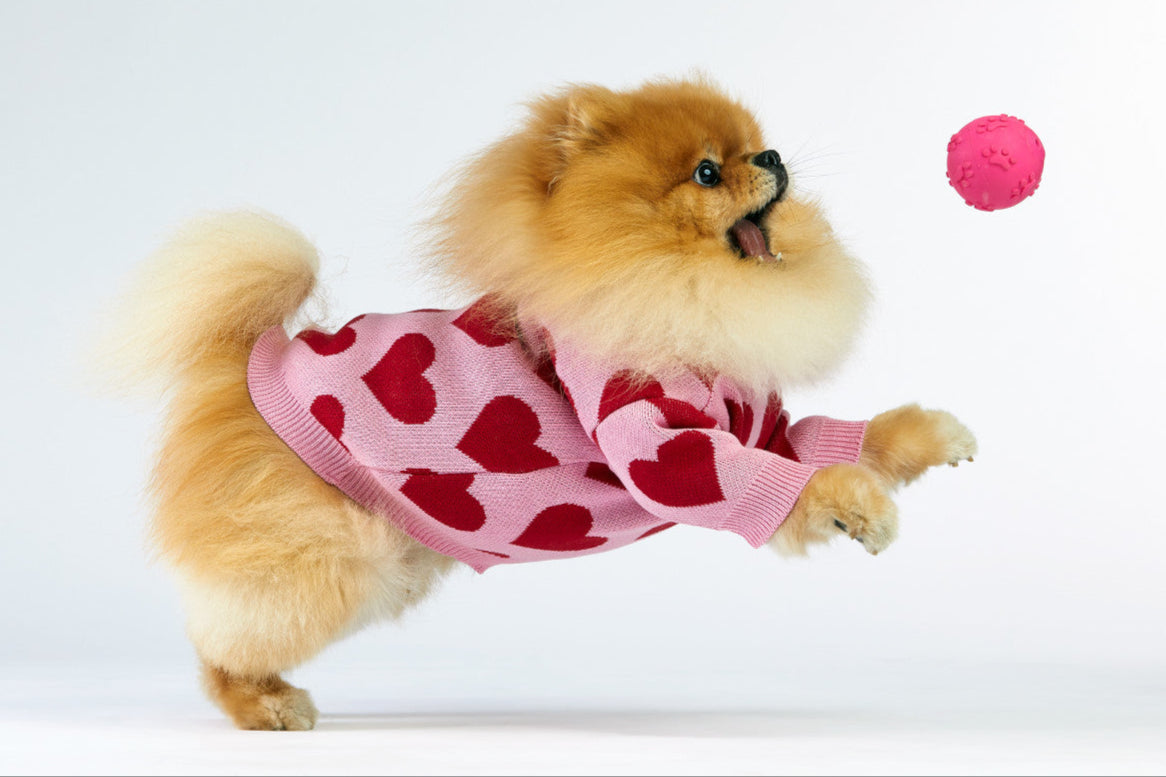 Woofchild sweter dla pieska - różowy