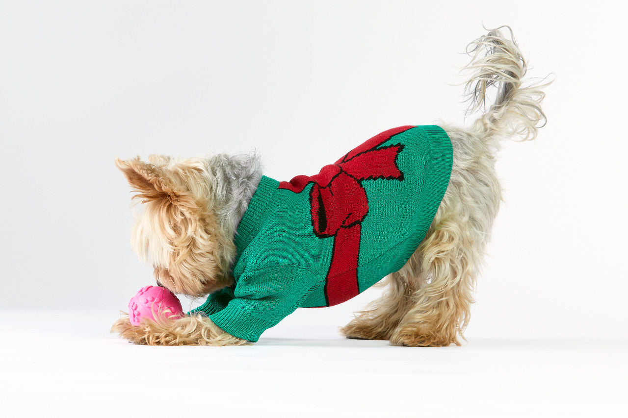 Christmas Dog Sweater