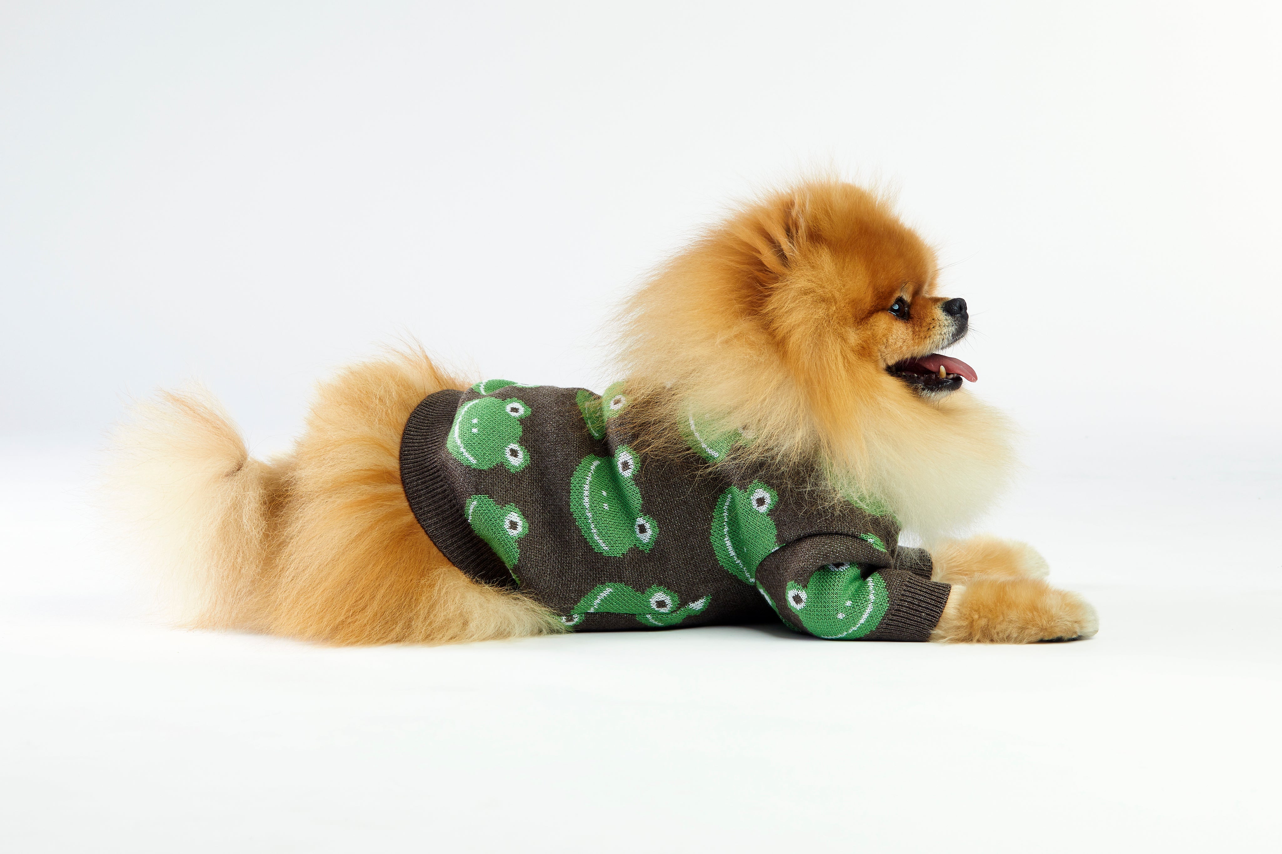 Woofchild_3.09.20228525_kopia_copy.jpg