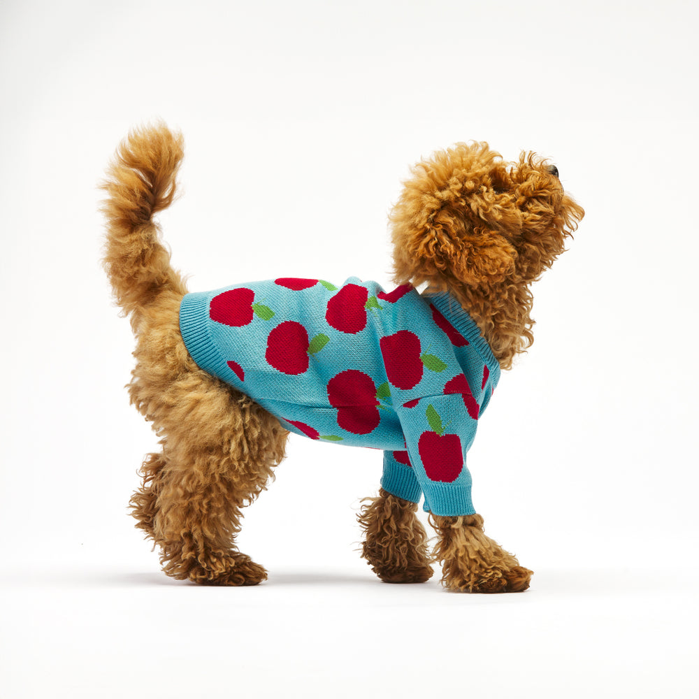 Apple Dog Sweater Woofchild shop