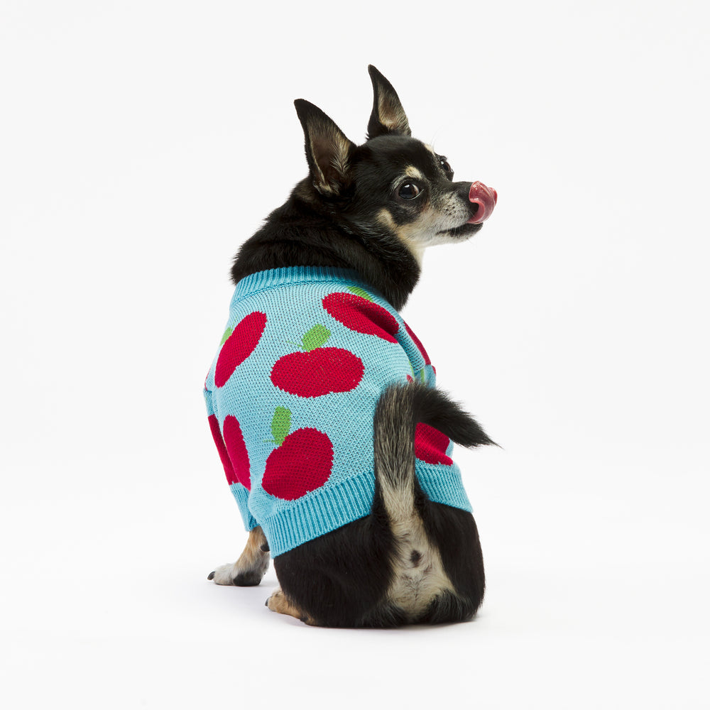 Apple Dog Sweater Woofchild shop