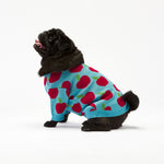Apple Dog Sweater Woofchild shop