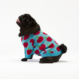 Apple Dog Sweater Woofchild shop