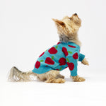 Apple Dog Sweater Woofchild