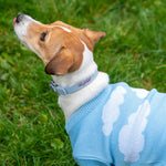 Baby Blue LUX Woofchild® Collar