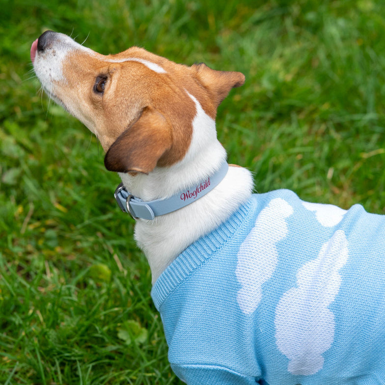 Baby Blue LUX Woofchild® Collar