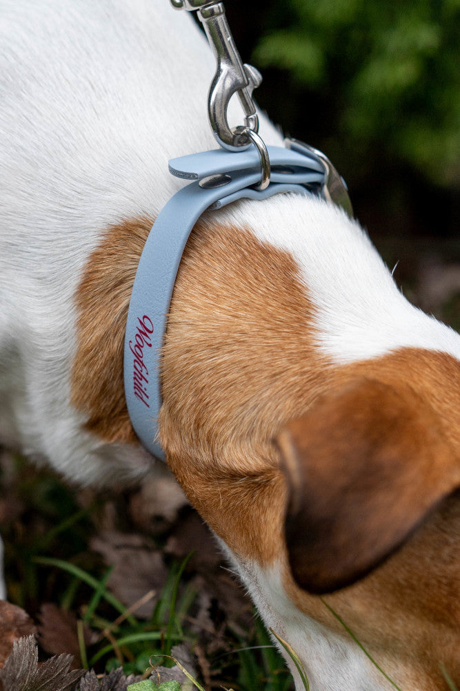 Baby Blue LUX Woofchild® Collar