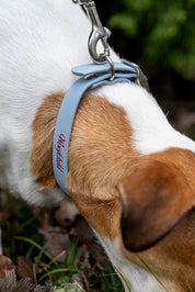 Baby Blue LUX Woofchild® Collar