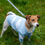 Baby Blue Urban Leash LUX Woofchild®