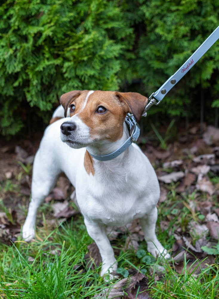 Baby Blue Urban Leash LUX Woofchild®