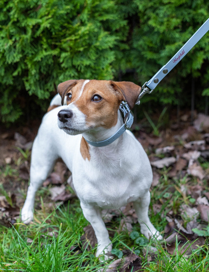 Baby Blue Urban Leash LUX Woofchild®