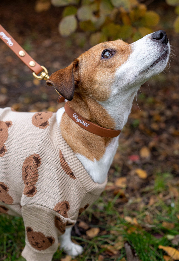 Light Brown LUX Woofchild® Collar