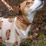 Light Brown LUX Woofchild® Collar