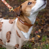 Light Brown LUX Woofchild® Collar