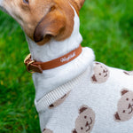 Light Brown LUX Woofchild® Collar