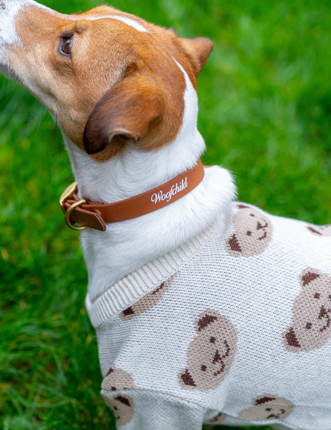 Light Brown LUX Woofchild® Collar