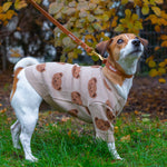 Brown Urban Leash