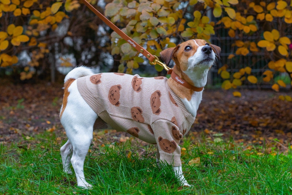 Brown Urban Leash