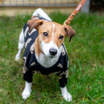 Brown Urban Leash