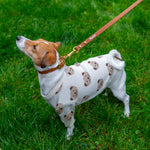 Brown Urban Leash