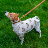 Brown Urban Leash