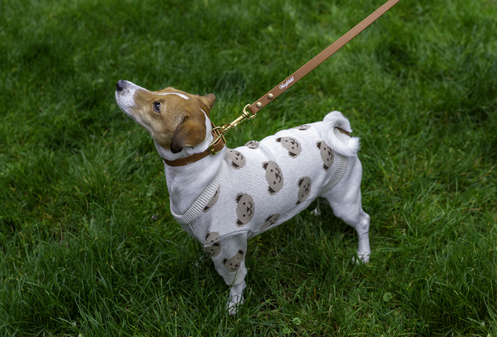 Brown Urban Leash