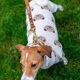 Light Brown Urban Leash LUX Woofchild®