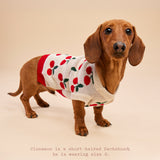 Cherry Sweater-Vest
