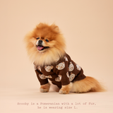 Chocolate Teddy Dog Sweater