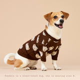 Chocolate Teddy Dog Sweater