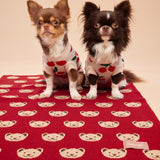Teddy Burgundy Blanket