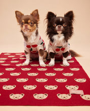 Teddy Burgundy Blanket