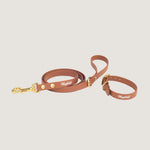 light brown urban leash and collar