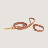 light brown urban leash and collar