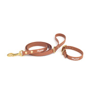 light brown urban leash and collar