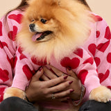 Hearts matchy-matchy Sweater for Human