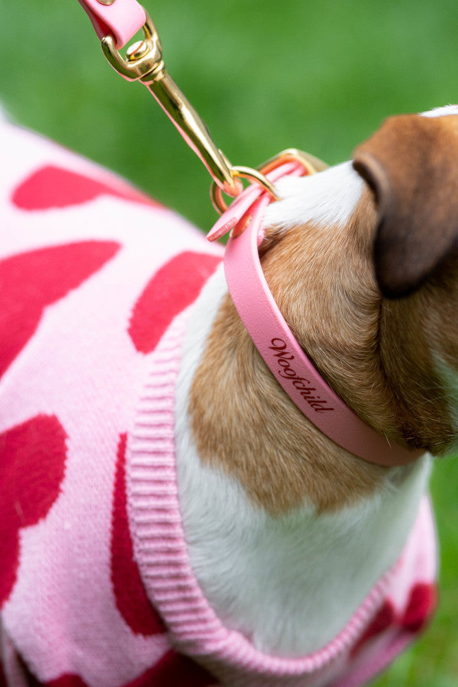 Pink Urban Collar Woofchild