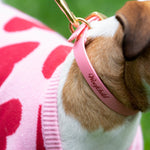 Pink Urban Collar Woofchild