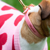 Pink Urban Collar Woofchild