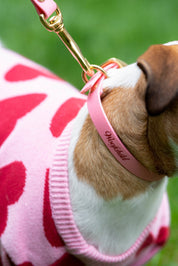 Pink Urban Collar Woofchild