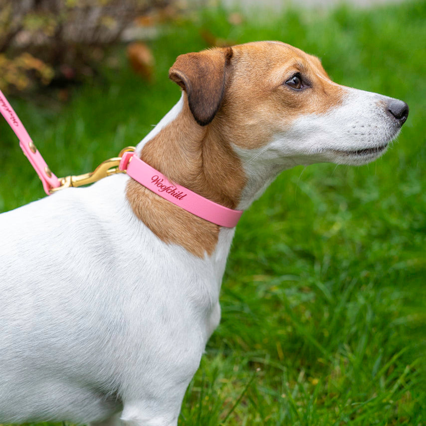 Pink Urban Collar Woofchild