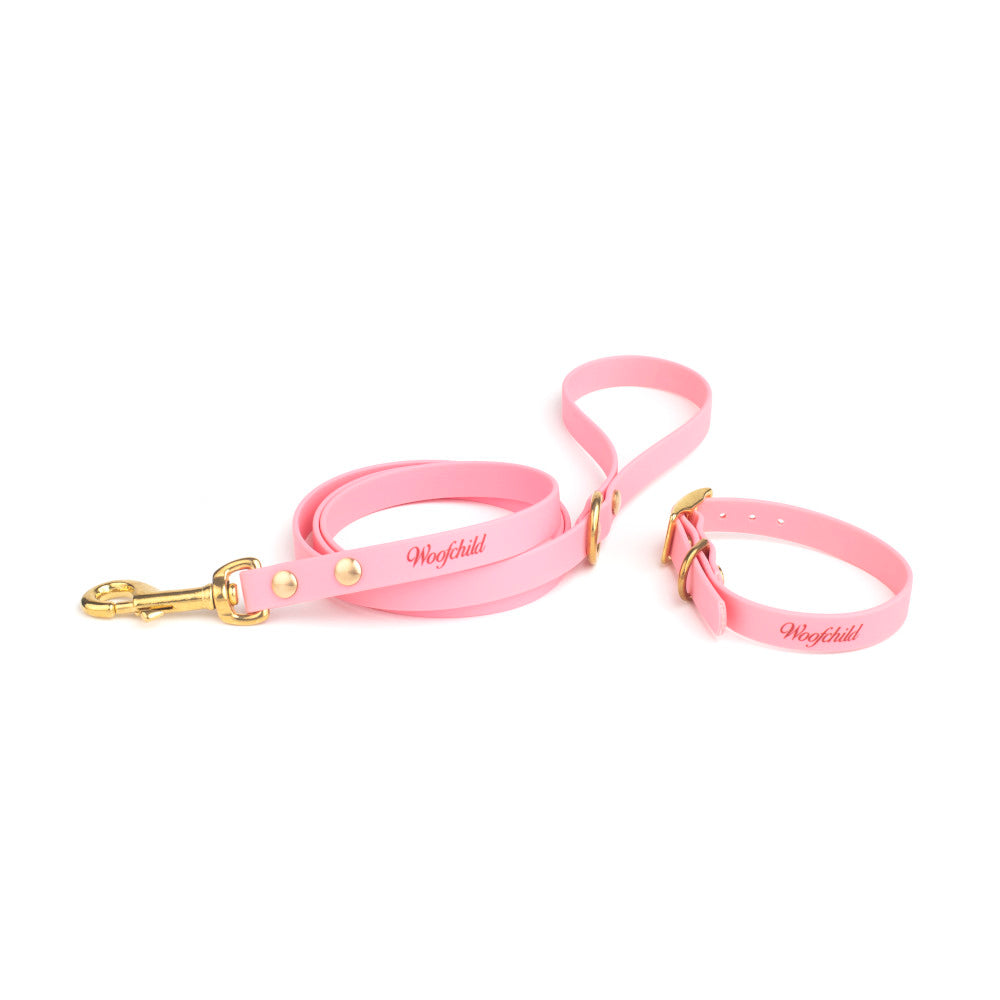 Pink Urban leash and collar