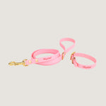 Pink Urban leash and collar