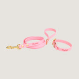 Pink Urban leash and collar