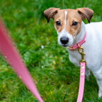 Pink Urban leash lux