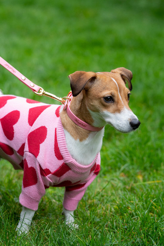 Pink Urban leash lux