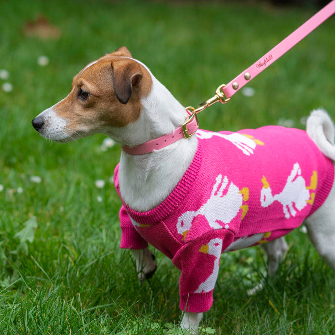 Pink Urban leash lux